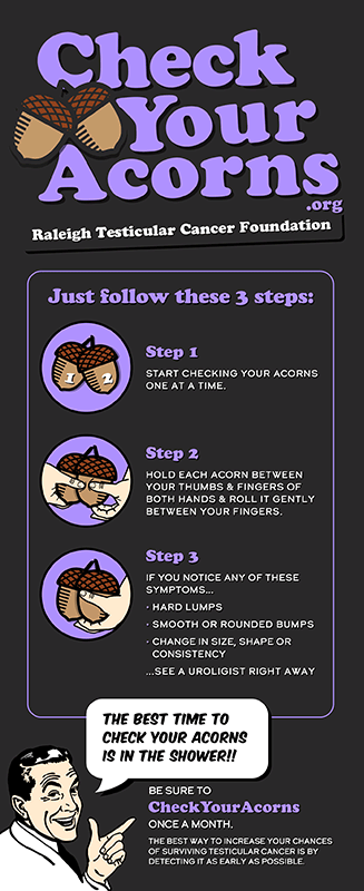 Check Your Acorns Poster showing steps to check your acorns