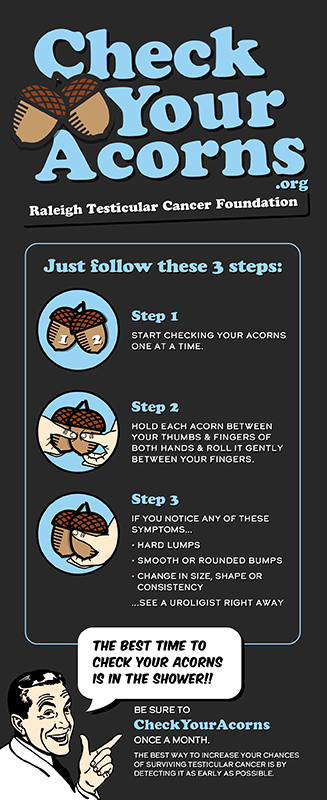 Check Your Acorns Poster showing steps to check your acorns