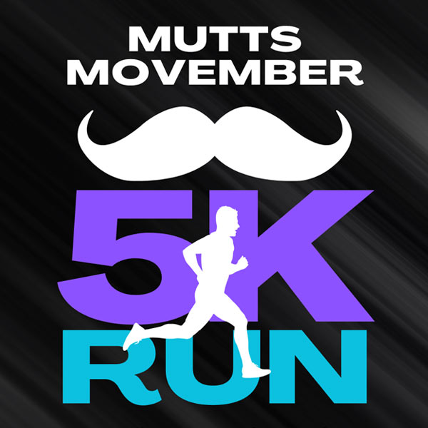Graphic showing white, purple, and cyan sans-serif type on black gradient background with white mustache icon